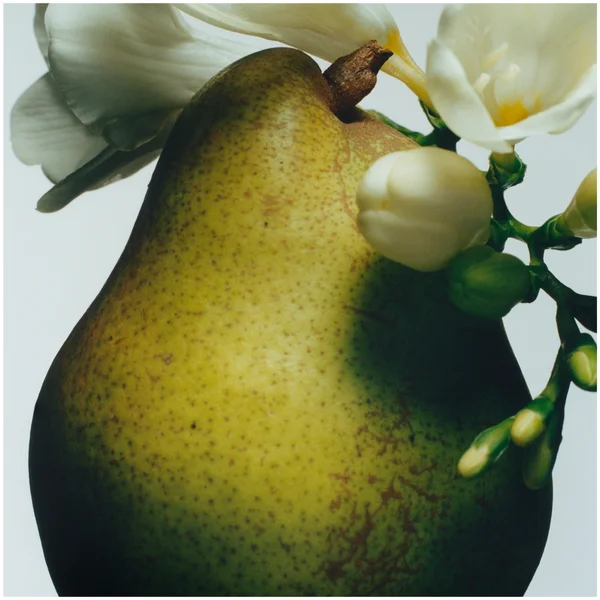 Jo Malone London English Pear & Freesia Diffuser Refill 165ml