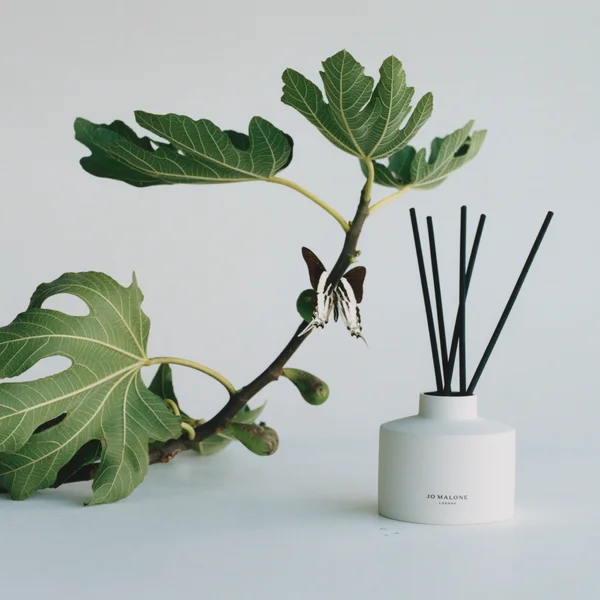 Jo Malone London Fresh Fig & Cassis Townhouse Diffuser 350ml