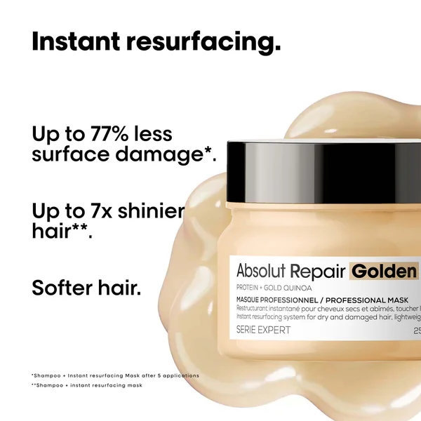 L'Oreal Professionnel Absolut Repair Gold Hydrating Hair Mask For Dry Hair
