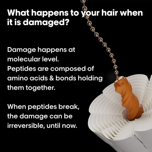 L'Oréal Professionnel Absolut Repair Molecular Sulphate Free Shampoo For Damaged Hair 300ml