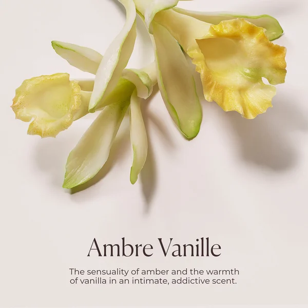 Laura Mercier Delicious & Decadent Ambre Vanille Collection (Worth £91.48)