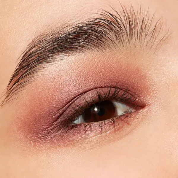MAC Cosmetics Connect In Colour Eye Shadow Palette - Embedded In Burgundy