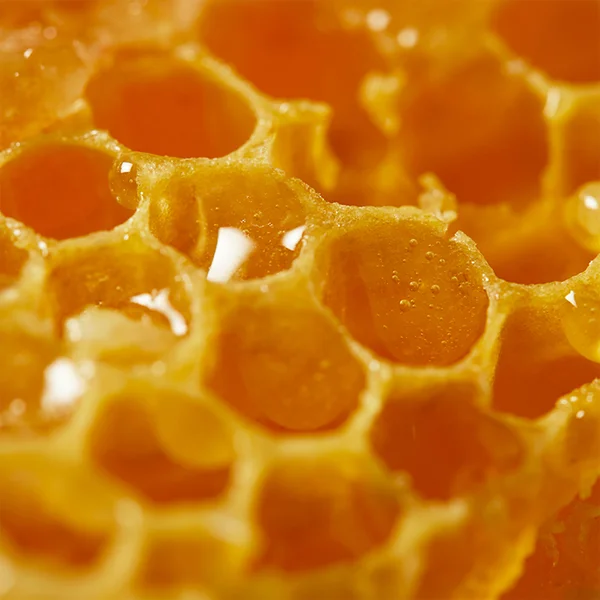 NUXE Baume Levres Reve De Miel - Honey Lip Balm (15g)