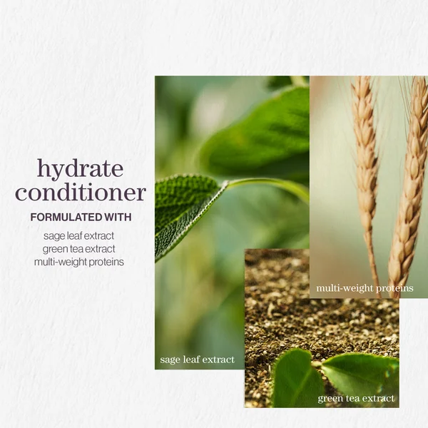 Pureology Hydrate Conditioner 1000ml