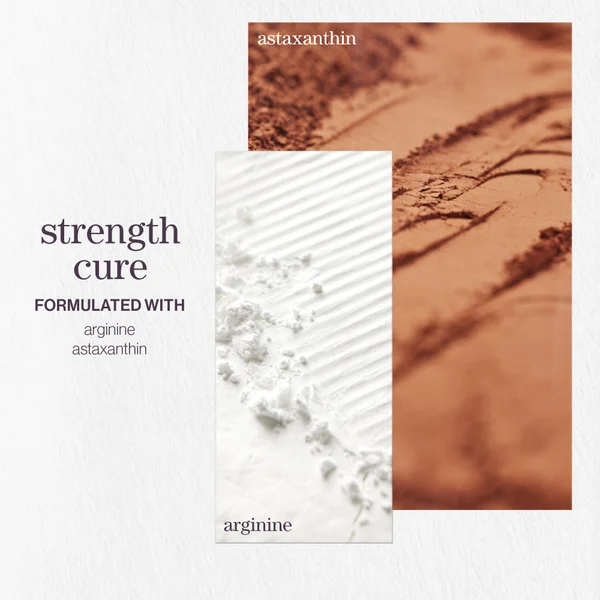 Pureology Strength Cure Shampoo And Conditioner Bundle For Damaged Hair Sulphate Free For A Gentle Cleanse With Vegan Formulas
