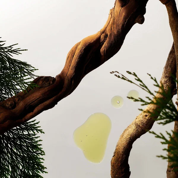 RITUALS Rituals Homme Collection Men's Bath & Body Medium Gift Set (Worth £54.60)