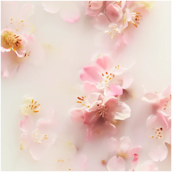 Rituals The Ritual Of Sakura Bath & Body Trial Set