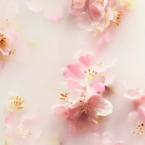 RITUALS The Ritual Of Sakura Cherry Blossom & Rice Milk Car Air Freshener 2x3 G