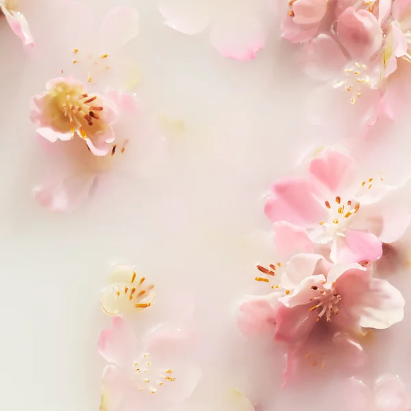 RITUALS The Ritual Of Sakura Cherry Blossom & Rice Milk Recovery Hand Balm 70ml