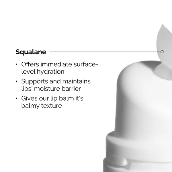 The Ordinary Squalane And Amino Acids Lip Balm 15ml
