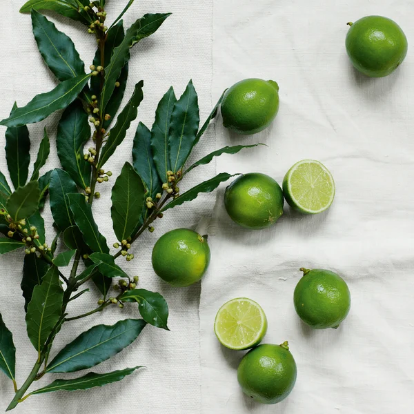 The White Company Lime & Bay Bath & Body Gift Set