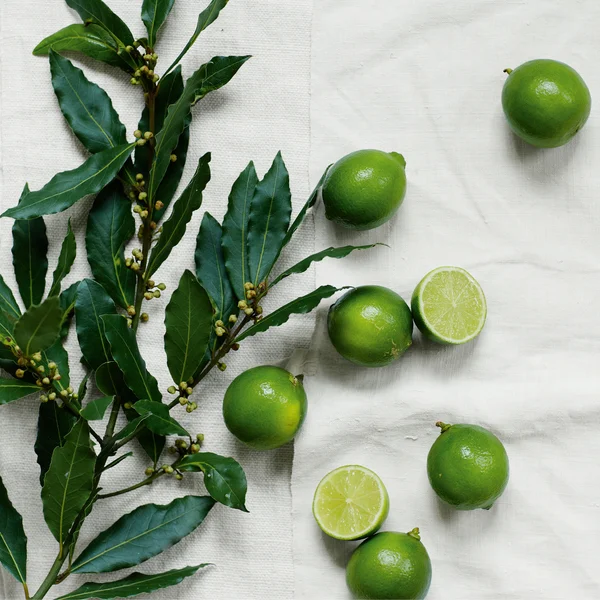 The White Company Lime & Bay Fragrance Oil 15ml