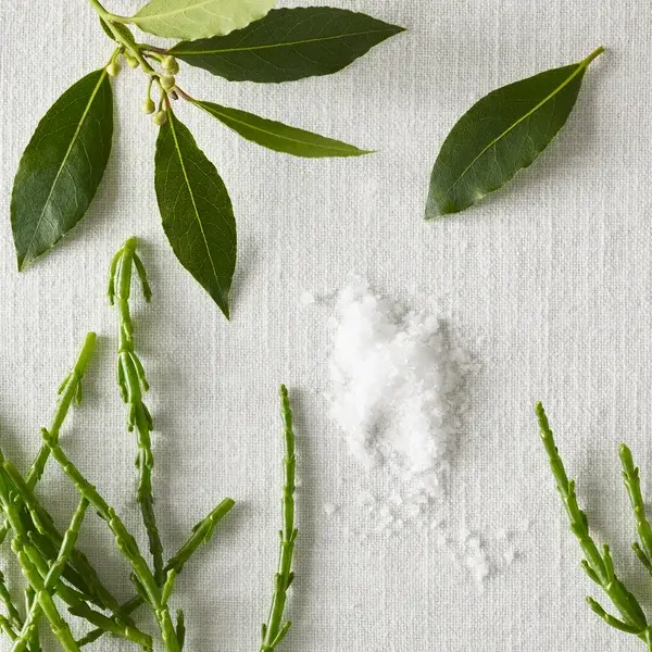 The White Company Summer Home Spray 100ml