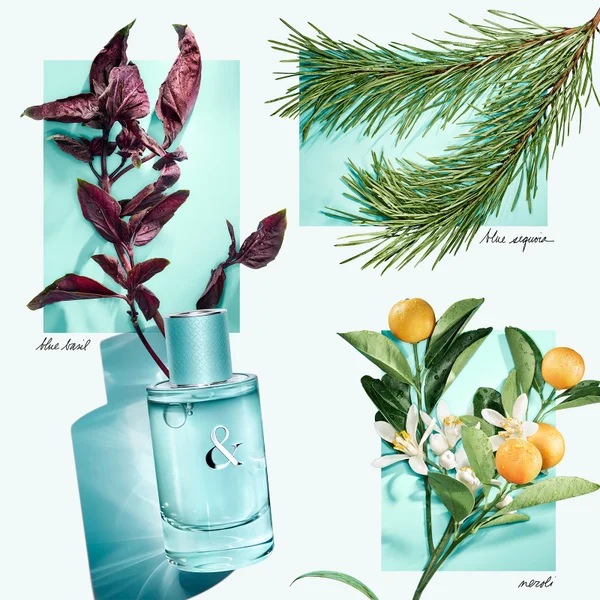 Tiffany & Co. & Love For Her Eau De Parfum 50ml