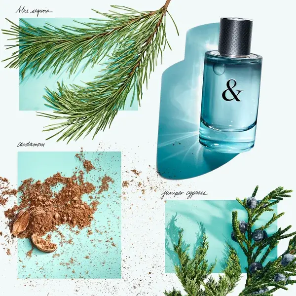 Tiffany & Co. & Love For Him Eau De Toilette 50ml