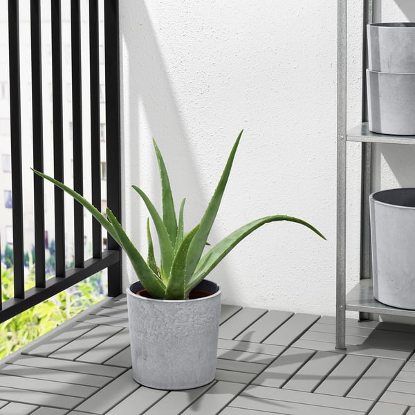 IKEA BOYSENBÄR Plant Pot Indoor/outdoor Light Gray 7 ½ "