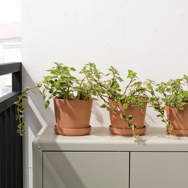 IKEA BRUNBÄR Plant Pot With Saucer Outdoor Terracotta 6 "