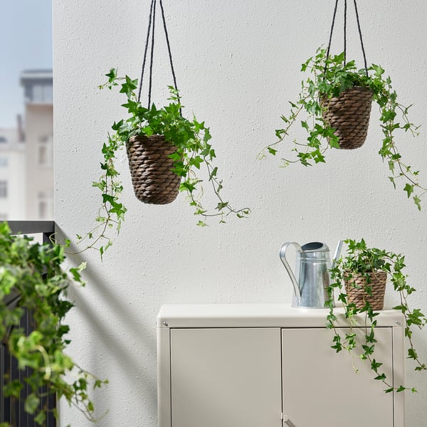 IKEA DRUVFLÄDER Hanging Planter Water Hyacinth/gray 5 ½ "
