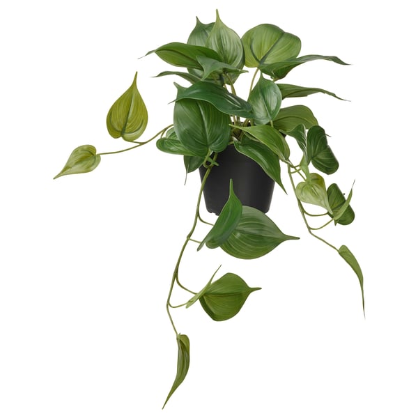 IKEA FEJKA Artificial potted plant indoor/outdoor Golden Pothos/hanging 4 ¾ "