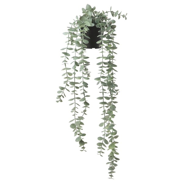 IKEA FEJKA Artificial potted plant indoor/outdoor hanging/eucalyptus 3 ½ "