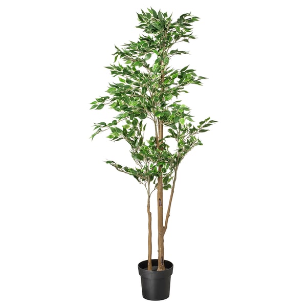 IKEA FEJKA Artificial potted plant indoor/outdoor Weeping fig 8 ¼ "