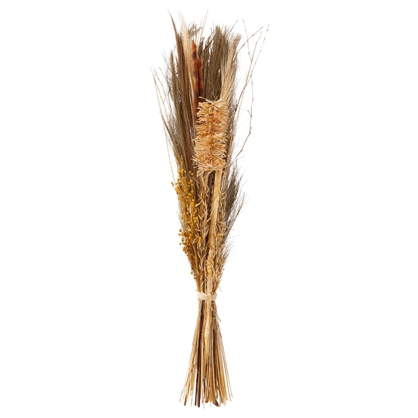IKEA FESTBJUDNING Dried parts of flowers/plants natural