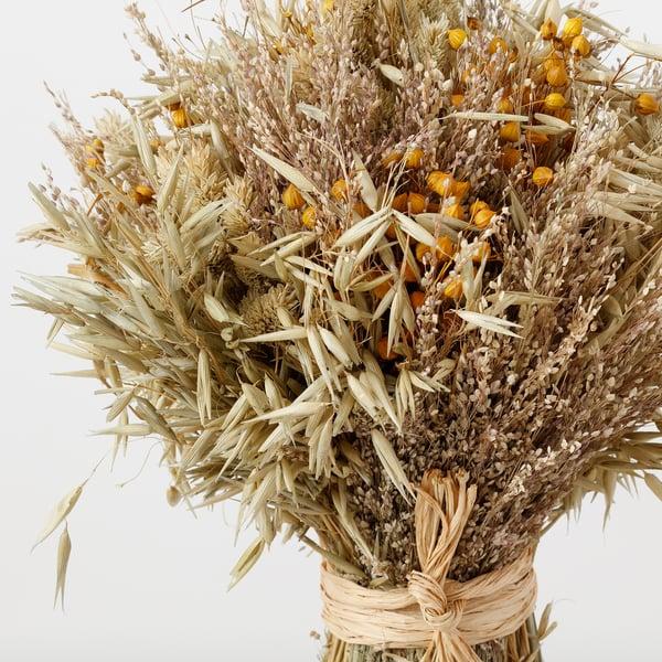 IKEA FESTSUGEN Dried Parts Of Flowers/plants Natural