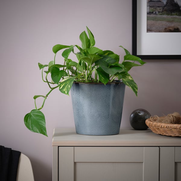 IKEA FJÄRILSBUSKE Plant Pot Indoor/outdoor/blue 7 ½ "