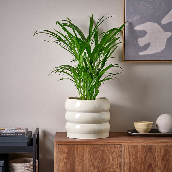 IKEA HASSELBUKETT Plant Pot Indoor/outdoor/beige 7 ½ "