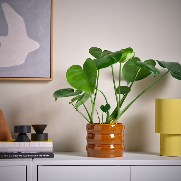 IKEA HASSELBUKETT Plant Pot Indoor/outdoor/brown-yellow 4 ¾ "