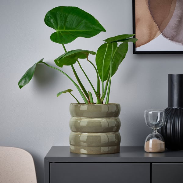 IKEA HASSELBUKETT Plant Pot Indoor/outdoor/green/brown 6 "