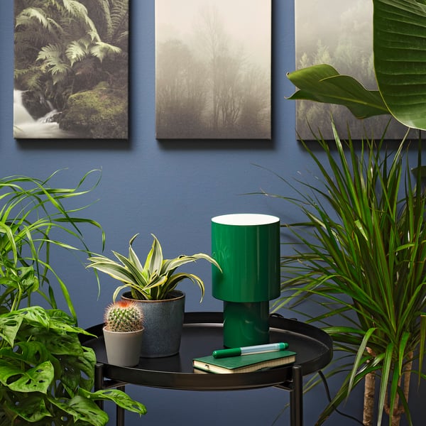 IKEA HIMALAYAMIX Potted Plant Assorted Species Plants Plants With Foliage 4 "