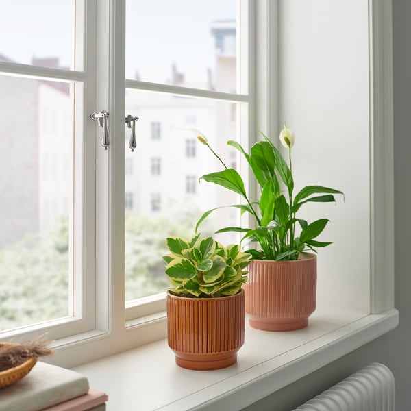 IKEA HONUNGSPALM Plant Pot Indoor/outdoor/brown 4 ¾ "