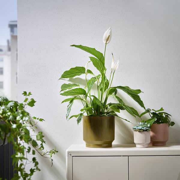 IKEA HONUNGSPALM Plant Pot Indoor/outdoor/green 7 ½ "