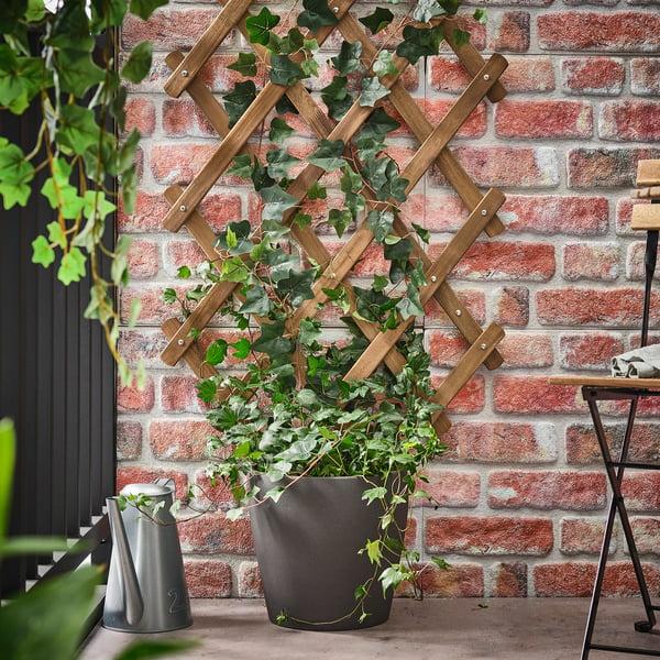 IKEA ASKHOLMEN Trellis Dark Brown