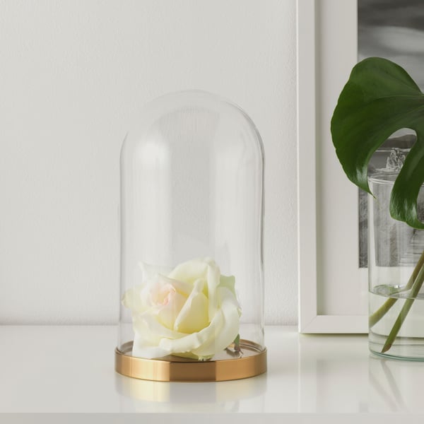 IKEA BEGÅVNING Glass Dome With Base 10 "