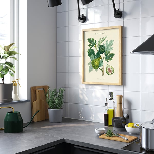 IKEA BILD Poster Fig Plant 16x20 "