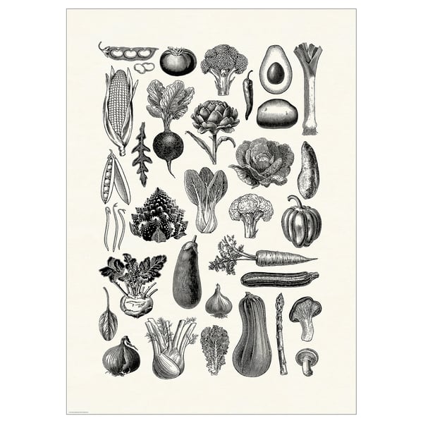 IKEA BILD Poster various vegetables 19 ¾x27 ½ "