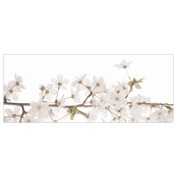 IKEA BJÖRKSTA Picture white flowers 55x22 "