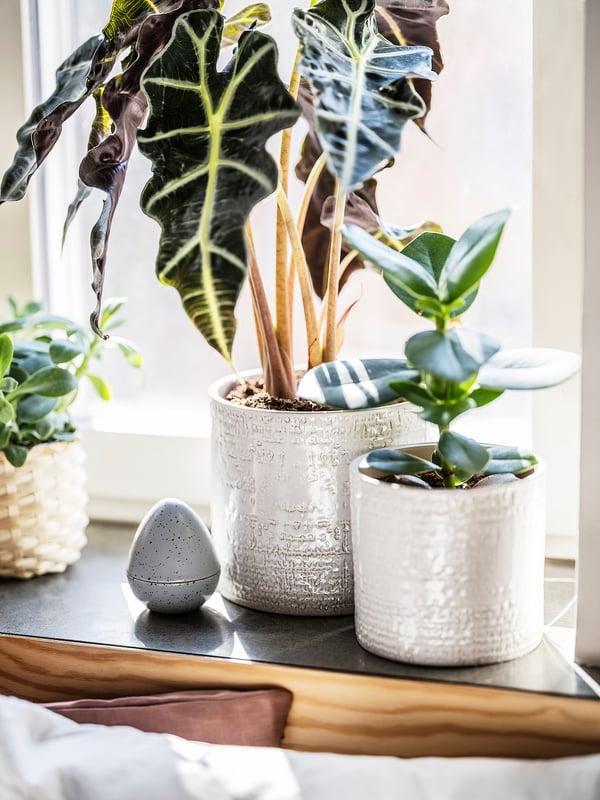 IKEA CHIAFRÖN Plant Pot Indoor/outdoor White 6 "