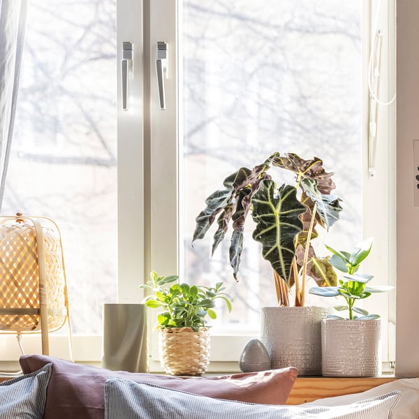 IKEA CHIAFRÖN Plant Pot Indoor/outdoor White 6 "