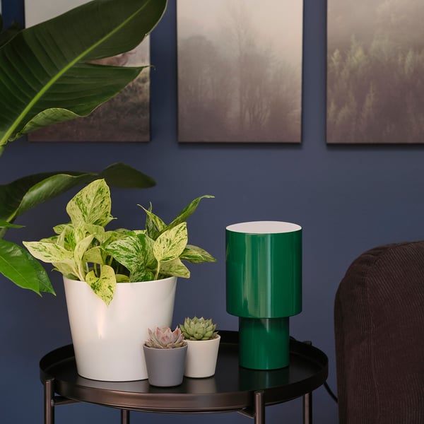 IKEA EPIPREMNUM Potted Plant 6 "