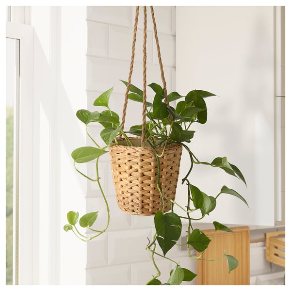 IKEA FRIDFULL Hanging Planter Water Hyacinth 4 ¾ "