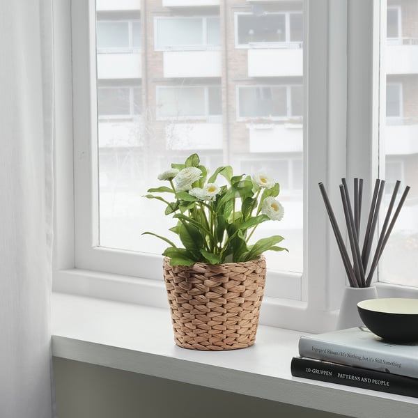IKEA FRIDFULL Plant Pot Water Hyacinth 4 ¾ "