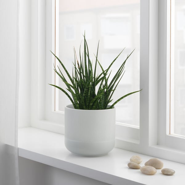 IKEA GRADVIS Plant Pot Gray 6 "