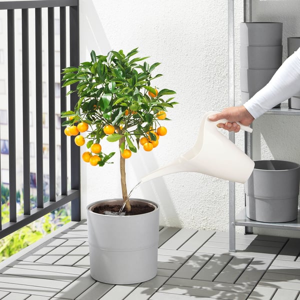 IKEA IKEA PS 2002 Watering Can White 41 Oz