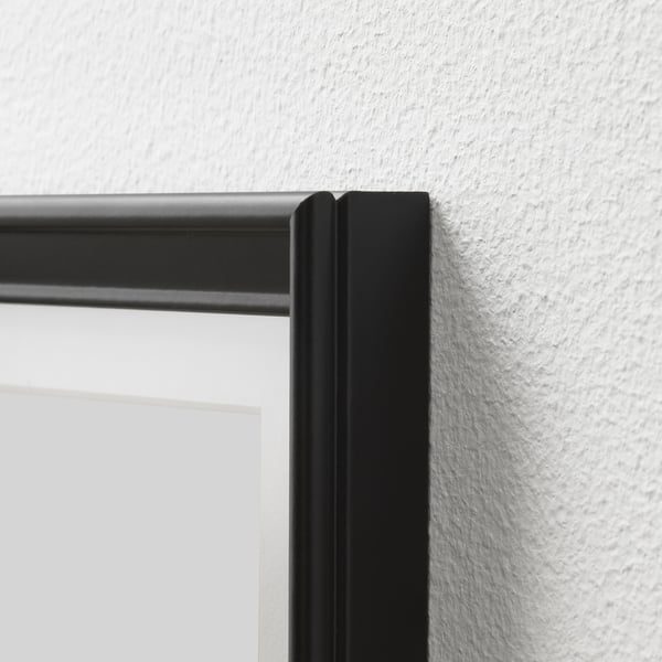 IKEA KNOPPÄNG Frame With Poster Garden 16x20 "