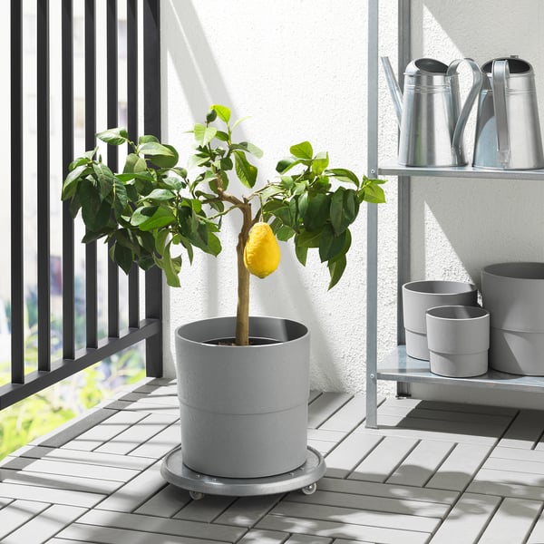 IKEA NYPON Plant Pot Indoor/outdoor Gray 9 ½ "