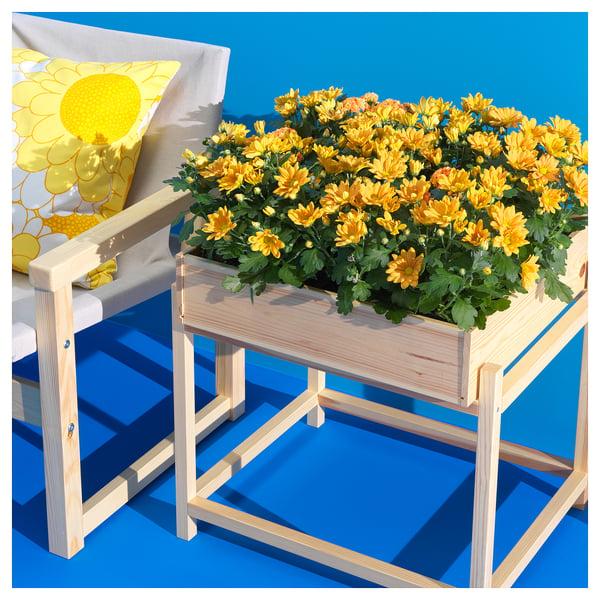 IKEA PRIMÄRSKOG Plant Stand 20 ¾ "