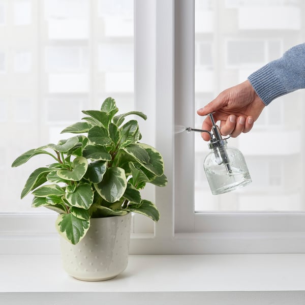 IKEA SESAMFRÖN Plant Mister Clear Glass 8 Oz